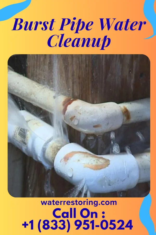 Burst Pipe Water Cleanup in Denton, MO