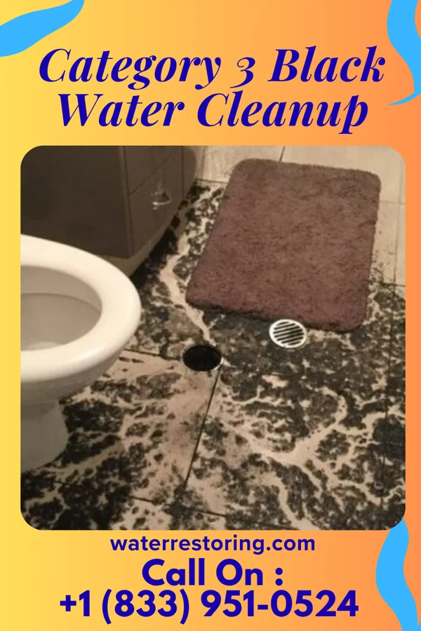 Category 3 Black Water Cleanup in Denton, MO