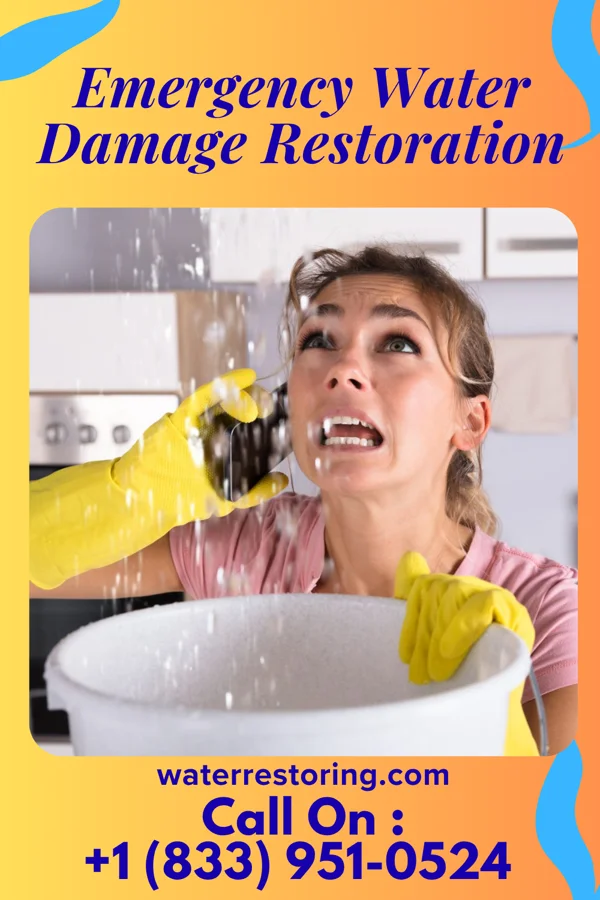 Emergency Water Damage Restoration in Denton, MO
