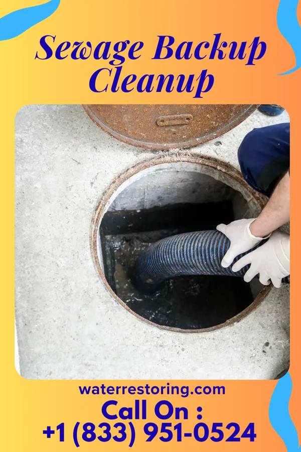 Sewage Backup Cleanup in Denton, MO